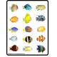 File Folder Game MATCHING UNDER THE SEA